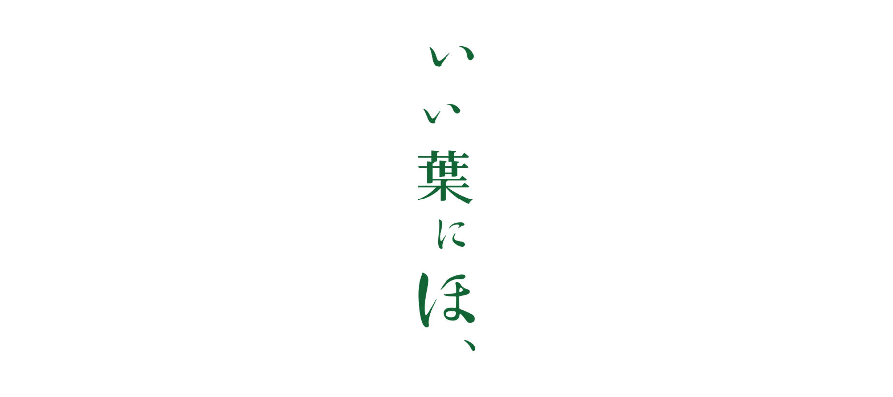 有機栽培茶 いい葉にほ、